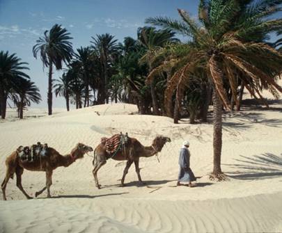Tunisie: une destination exotique