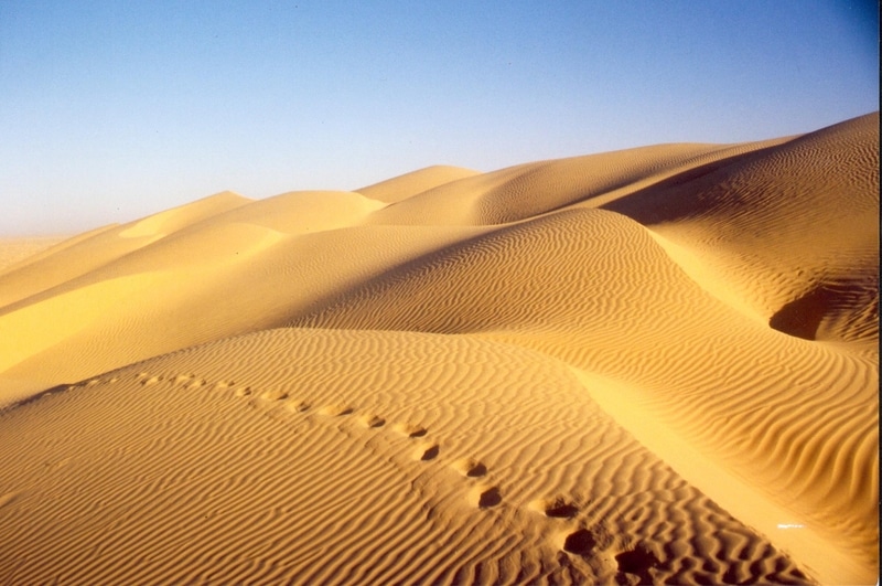 Le désert tunisien
