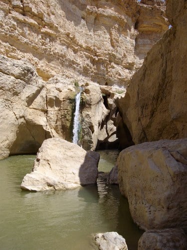 Le sud tunisien