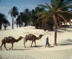 Voyages en Tunisie