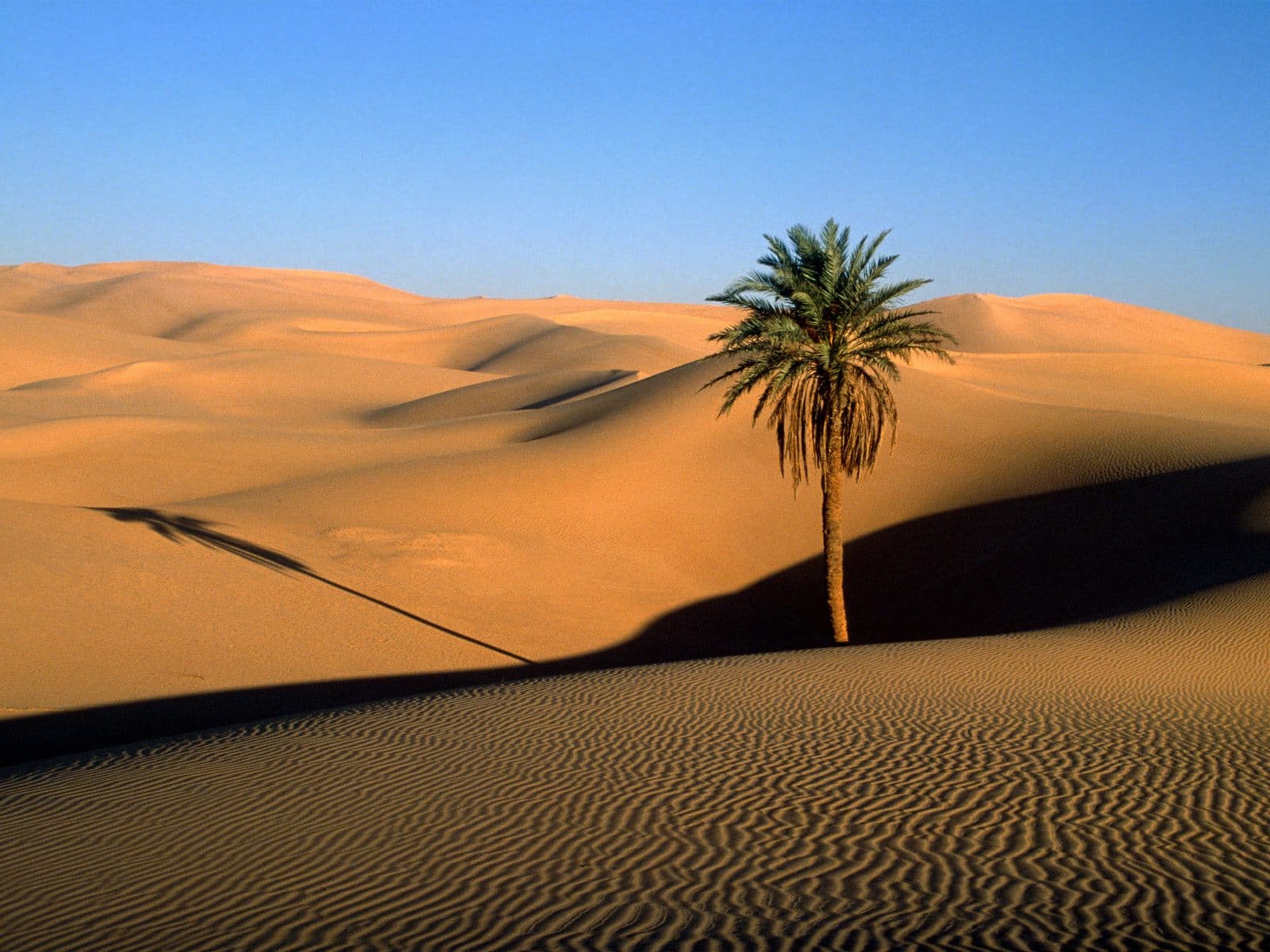 Tunisie: du nord au sud